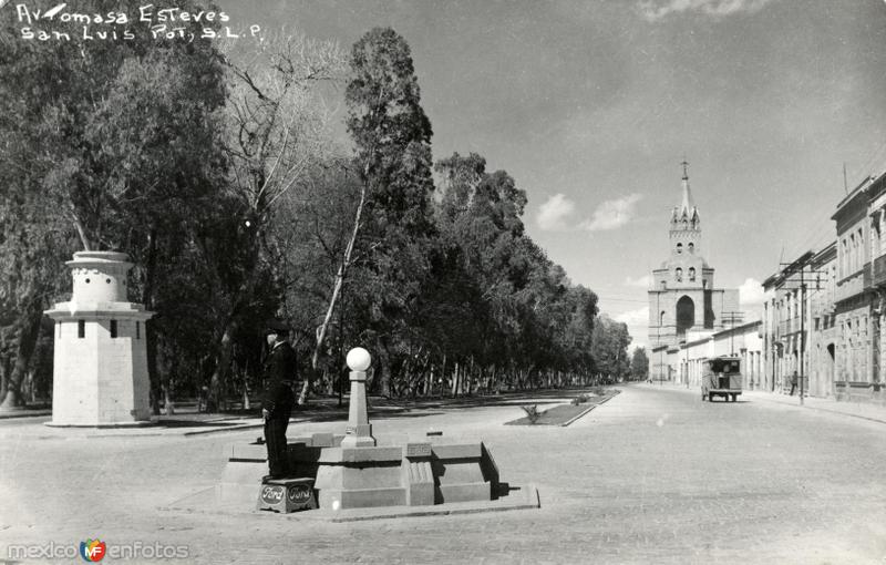 Fotos de San Luis Potosí, San Luis Potosí: Avenida Tomasa Esteves