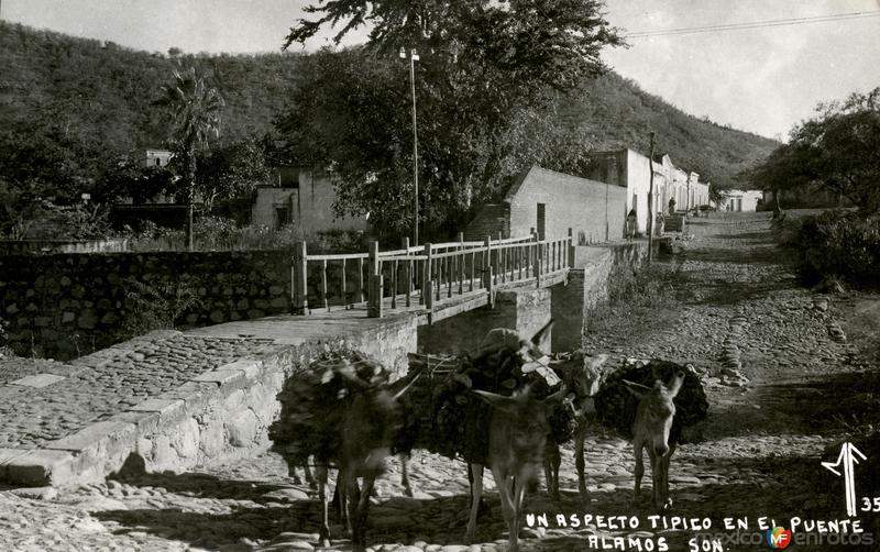 Fotos de Alamos, Sonora: Un aspecto típico en el puente