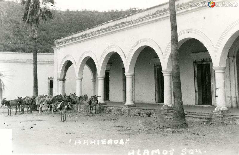 Fotos de Alamos, Sonora: Arrieros