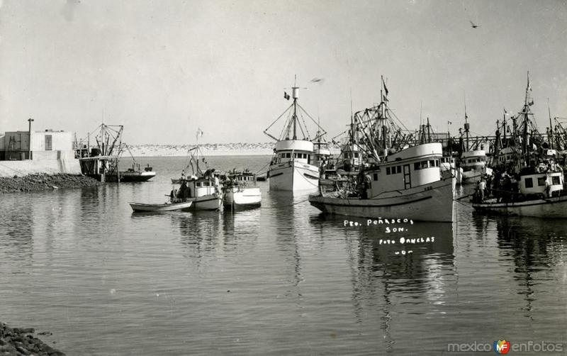 Fotos de Puerto Peñasco, Sonora: Botes en Puerto Peñasco