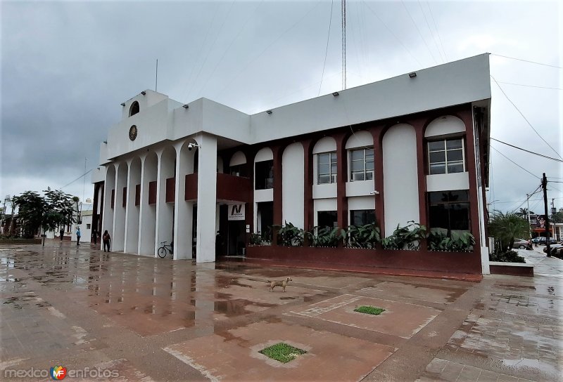 Fotos de Nacajuca, Tabasco: Presidencia Municipal