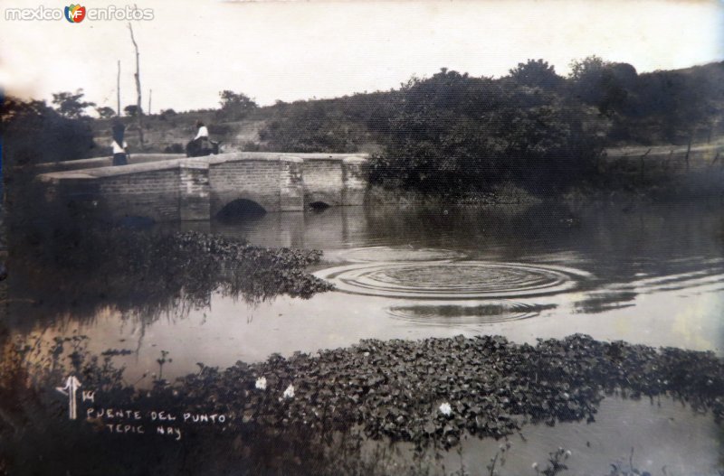 Fotos de Tepic, Nayarit: Puente del Punto.