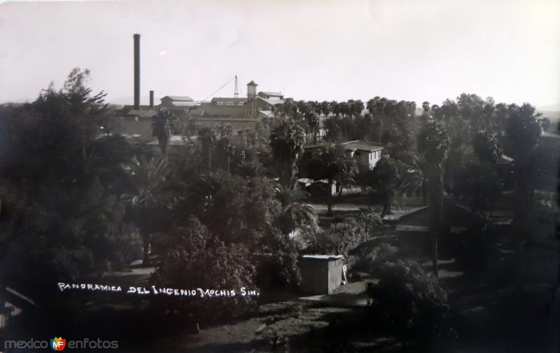 Fotos de Los Mochis, Sinaloa: Panoramica del Ingenio.