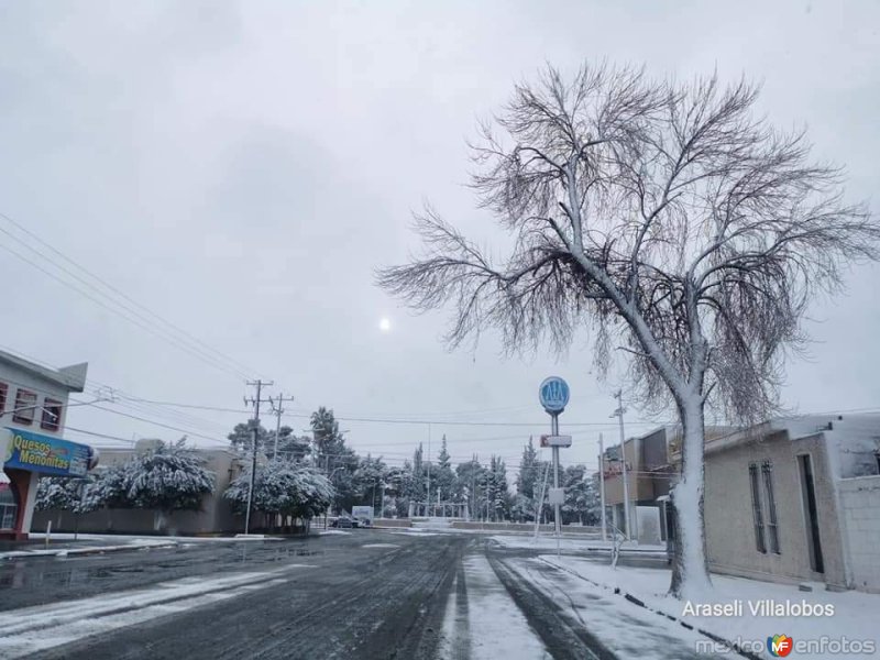 Fotos de Delicias, Chihuahua: Av del Parque, ciudad Delicias.