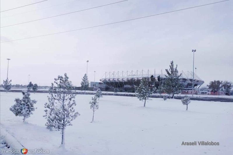 Fotos de Delicias, Chihuahua: Gran Estadio Delicias, ciudad Delicias.