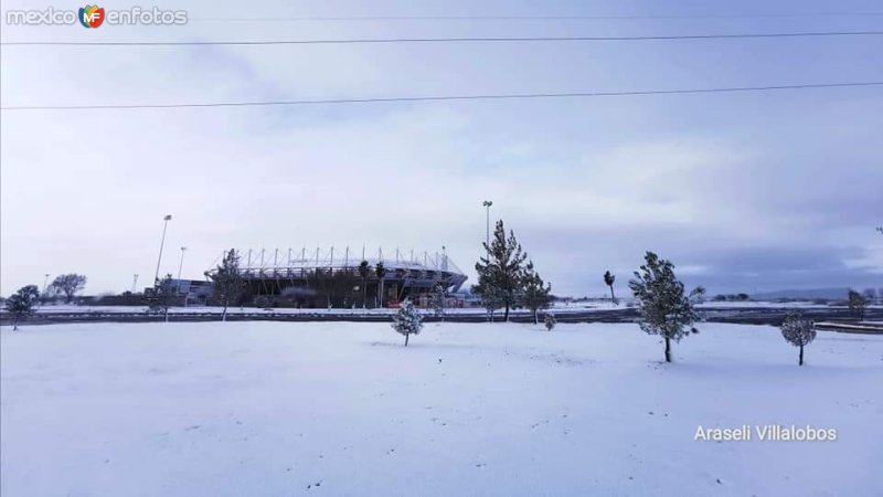 Fotos de Delicias, Chihuahua: Estadio de Béisbol, ciudad Delicias.