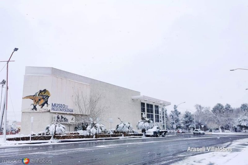 Fotos de Delicias, Chihuahua: Museo de Paleontología, ciudad Delicias.