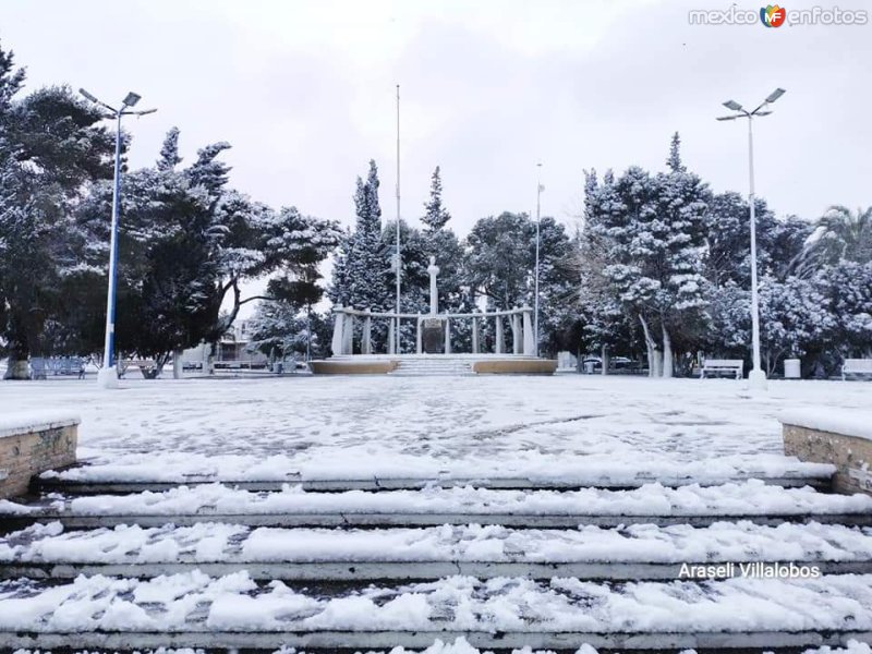 Fotos de Delicias, Chihuahua: Plaza Benito Juárez, ciudad Delicias.