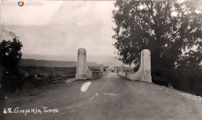 Fotos de Guayalejo, Tamaulipas: Puente Guayalejo.