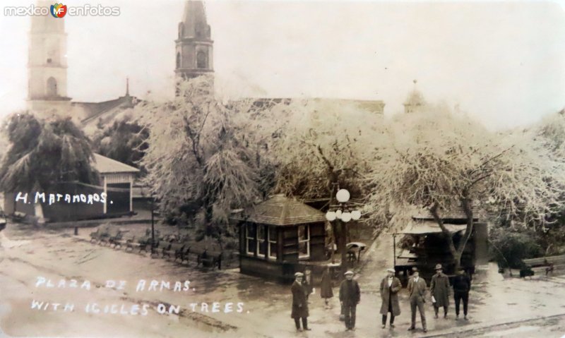 Fotos de Matamoros, Tamaulipas: La Plaza de Armas con nieve en los arboles.