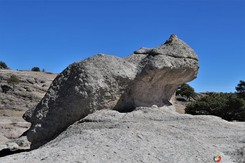 Fotos de San Ignacio, Chihuahua: Valle de las Ranas