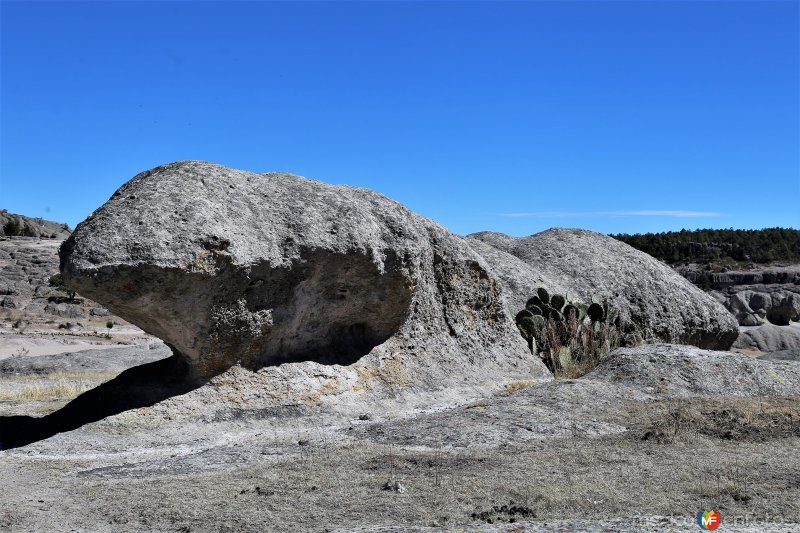 Fotos de San Ignacio, Chihuahua: Valle de los Hongos