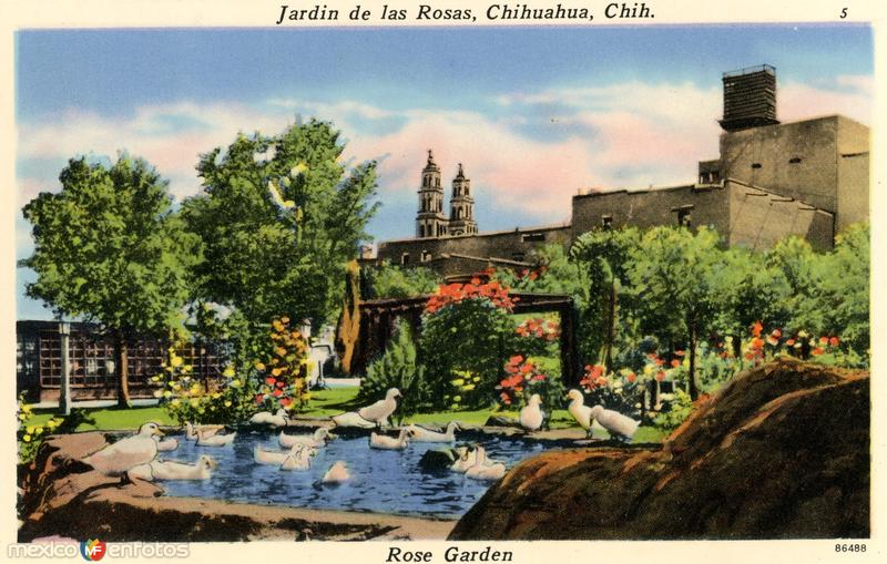 Fotos de Chihuahua, Chihuahua: Jardín de las Rosas