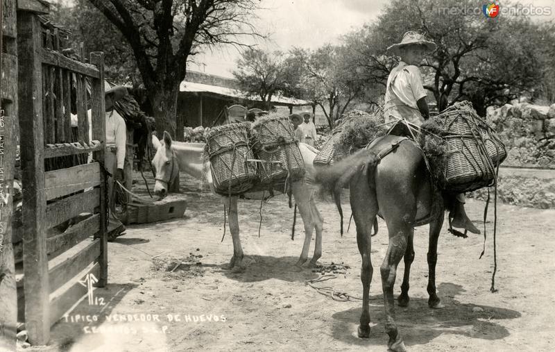 Fotos de Ciudad Valles, San Luis Potosí: Típico vendedor de huevos