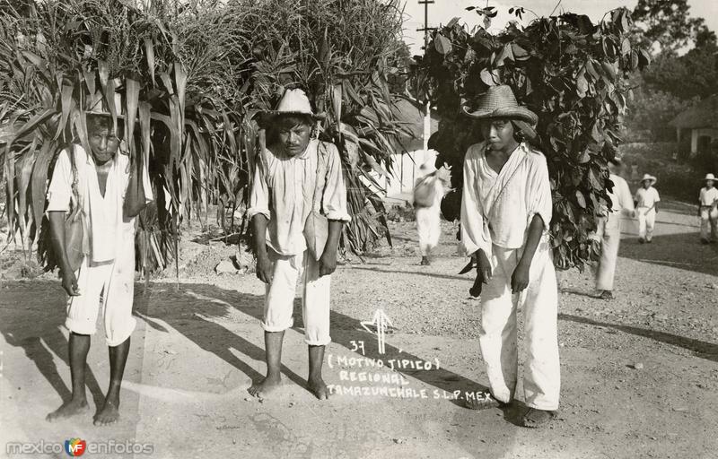 Fotos de Tamazunchale, San Luis Potosí: Cargadores