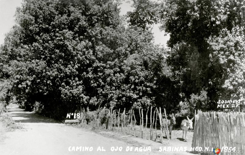 Fotos de Sabinas Hidalgo, Nuevo León: Camino al Ojo de Agua