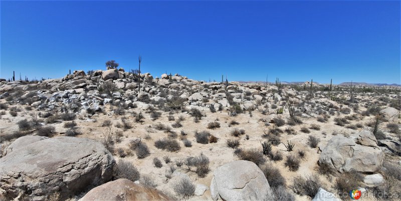 Fotos de Cataviña, Baja California: Valle de los Cirios