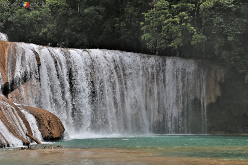 Fotos de Cascadas De Agua Azul, Chiapas: Cascadas de Agua Azul