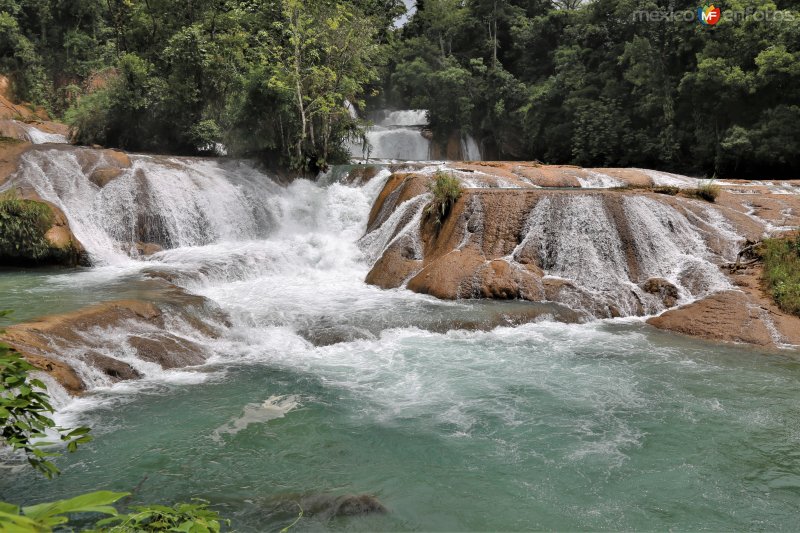 Fotos de Cascadas De Agua Azul, Chiapas: Cascadas de Agua Azul