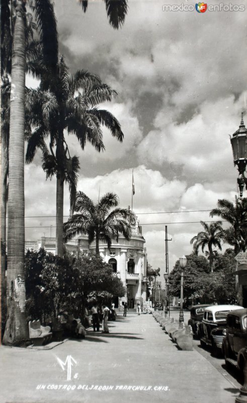 Fotos de Tapachula, Chiapas: A un costado del jardin.