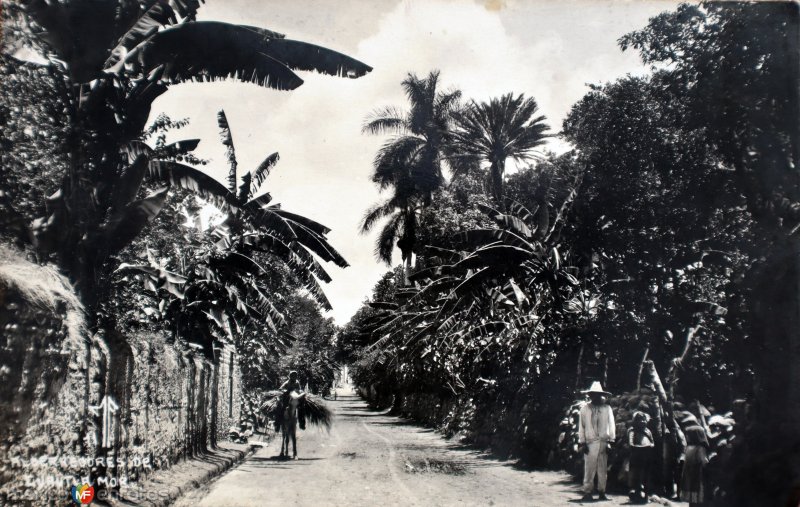 Fotos de Cuautla, Morelos: Alrededores.