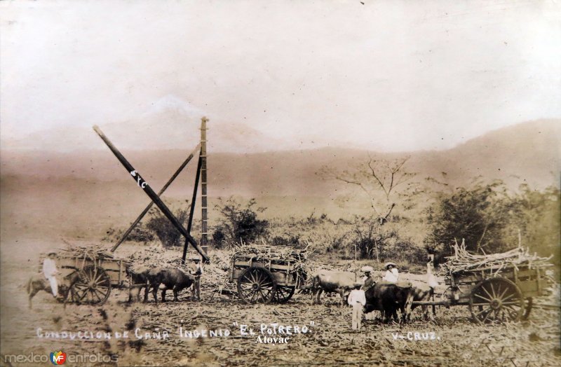 Fotos de Atoyac, Veracruz: Conduccion de cana en carretas para el Ingenio azucarero El Potrero Al fondo el Pico de Orizaba.