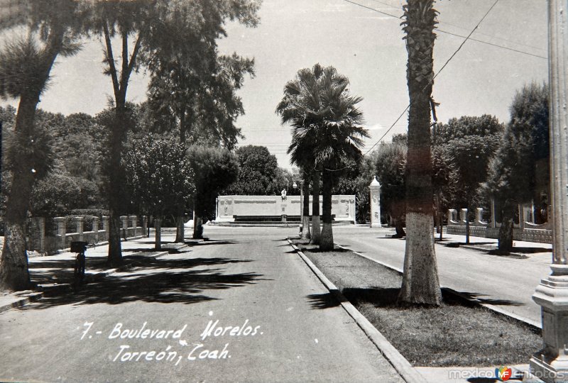 Fotos de Torreón, Coahuila: Boulevard Morelos.