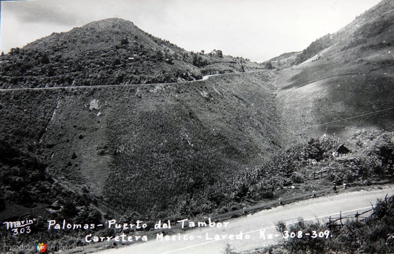 Fotos de Chapulhuacán, Hidalgo: Palomas puerto del tambor Carretera Mex-Laredo KM 308 y 309.