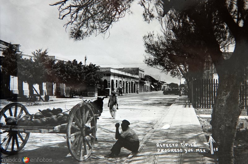 Fotos de Progreso, Yucatán: Aspecto tipico.