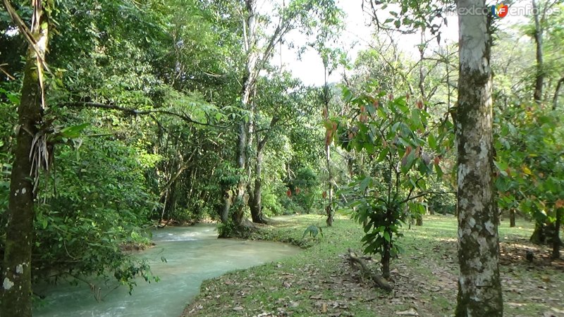 Fotos de Cascadas De Agua Azul, Chiapas: Arroyo al final de las cascadas