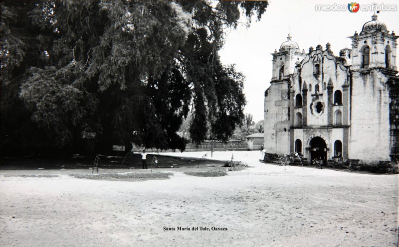 Fotos de Santa María Del Tule, Oaxaca: El Arbol e Iglesia Santa María del Tule, Oaxaca.