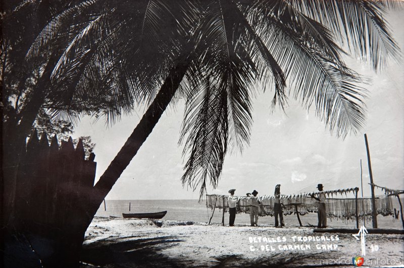 Fotos de Ciudad Del Carmen, Campeche: Detalles tropicales.( Circulada el 11 de Octubre de 1944 ).