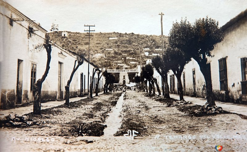 Fotos de Tenango Del Valle, México: Avenida Hidalgo.