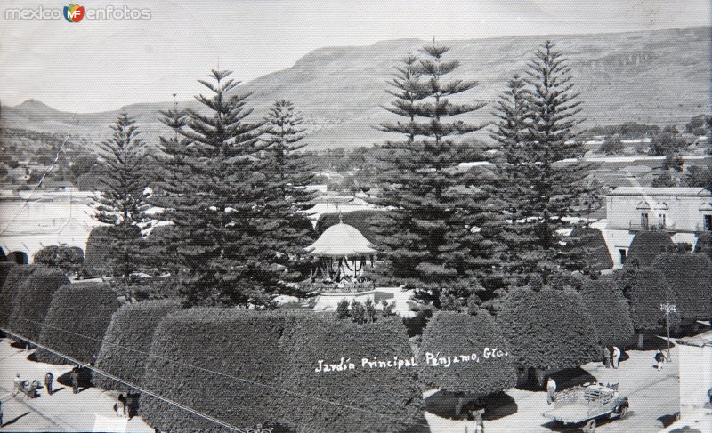 Fotos de Pénjamo, Guanajuato: Jardin principal.