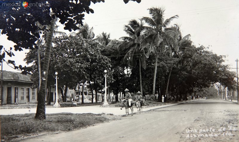 Fotos de Veracruz, Veracruz: Una parte de La Alameda.