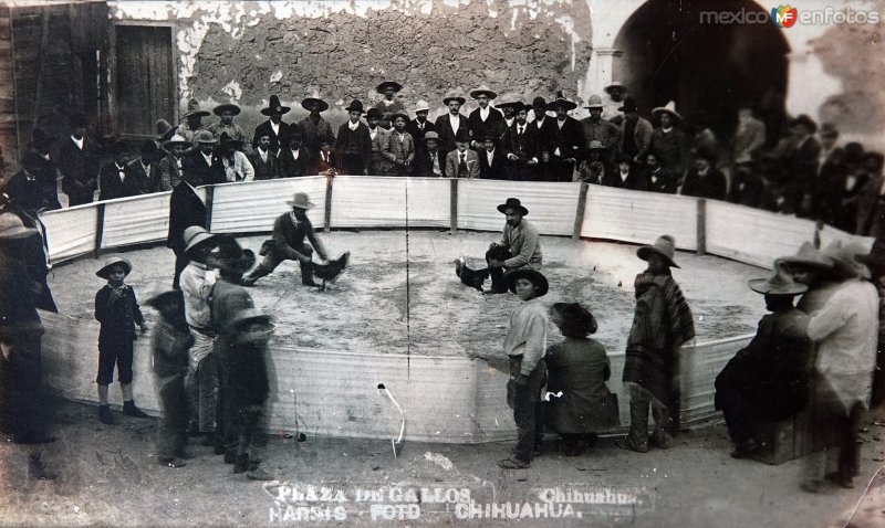 Fotos de Chihuahua, Chihuahua: La Plaza de gallos.