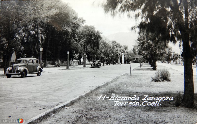 Fotos de Torreón, Coahuila: Alameda Zaragoza.