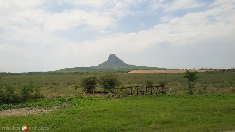 Fotos de González, Tamaulipas: Bernal de Horcasitas