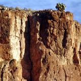 Cañón del Mulato