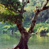 Laguna de los Sifones