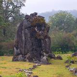 Reserva de la Biósfera El Cielo