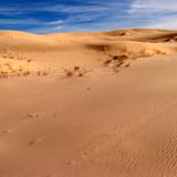 Dunas de Samalayuca