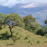 Paisaje cercas del Volcán de Fuego