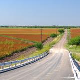 Camino rural y campos de cultivo