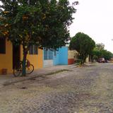 Calles de Colima