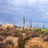 Desierto de Cataviña