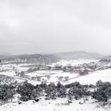 Paisaje nevado en Sisoguichi