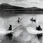 Mariposas en el Lago de Pátzcuaro