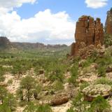 Sierra de Órganos