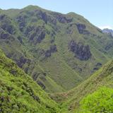 Barrancas del Cobre